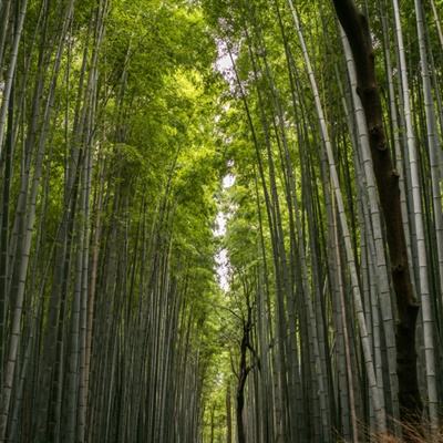 有魔性西游手游下载