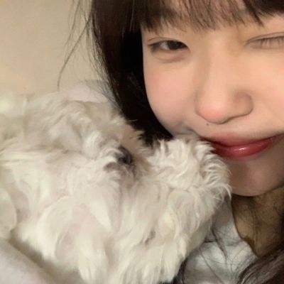 坦克突袭联机版下载